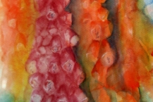 28