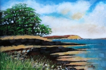 102-David-WilkesPenrhos-Nature-Reserve-Anglesey
