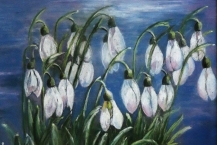 38-Francella-Jean-First-Snowdrops