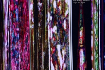 90-Peter-Walton-Windows
